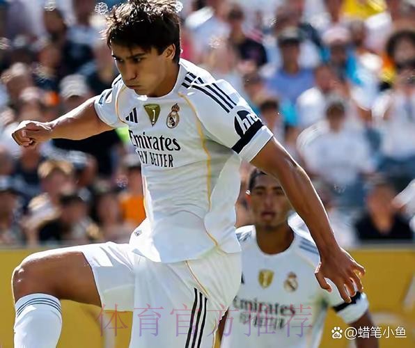 博斯克谈阿隆索执教皇马：他配得上这个机会